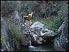 Campamento de verano 2005 en el Robledal - Del 1 al 14 de agosto de 2005
