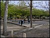 Excursin a la Silla del Moro - Presentacin de la cancin para el Festival - 19 de noviembre de 2005