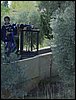 Excursin a la Silla del Moro - Presentacin de la cancin para el Festival - 19 de noviembre de 2005