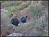 Excursin a la Silla del Moro - Presentacin de la cancin para el Festival - 19 de noviembre de 2005