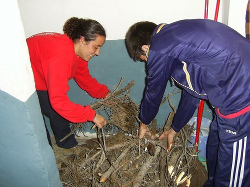 Campamento de Navidad - Sierra de Alfacar - 17 y 18 de diciembre de 2005 - Foto 18