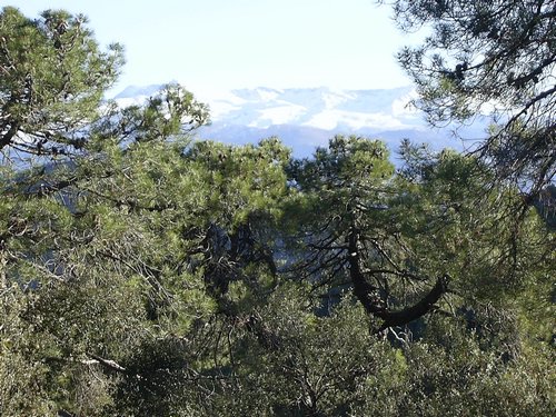 Campamento de Navidad - Sierra de Alfacar - 17 y 18 de diciembre de 2005 - Foto 23