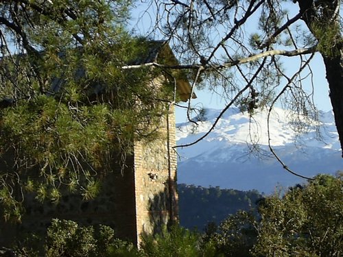 Campamento de Navidad - Sierra de Alfacar - 17 y 18 de diciembre de 2005 - Foto 24