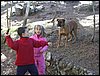 Campamento de Navidad - Sierra de Alfacar - 17 y 18 de diciembre de 2005