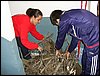 Campamento de Navidad - Sierra de Alfacar - 17 y 18 de diciembre de 2005