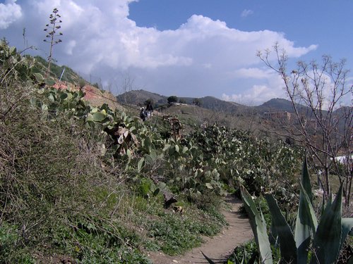 Excursin a la Abada del Sacromonte - 11 de febrero de 2006 - Foto 37