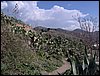 Excursin a la Abada del Sacromonte - 11 de febrero de 2006