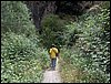 Excursin a los Cahorros el 10 de junio de 2006
