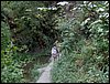 Excursin a los Cahorros el 10 de junio de 2006