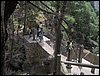 Excursin a los Cahorros el 10 de junio de 2006