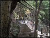 Excursin a los Cahorros el 10 de junio de 2006