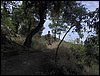 Excursin a los Cahorros el 10 de junio de 2006