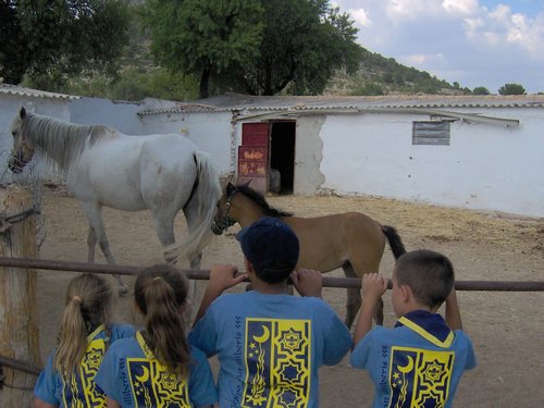 Campamento de verano 2006 en Huscar del 30 de julio al 13 de agosto de 2006 - Foto 149
