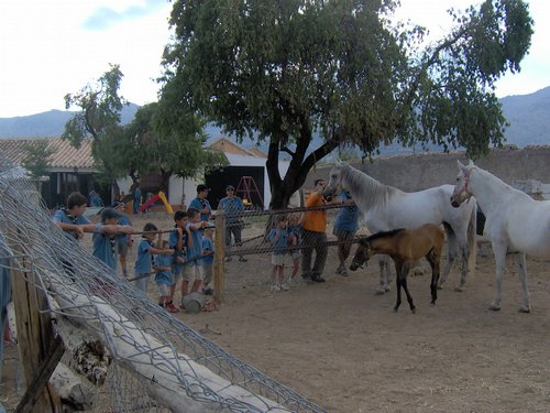 Campamento de verano 2006 en Huscar del 30 de julio al 13 de agosto de 2006 - Foto 151