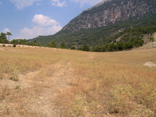 Campamento de verano 2006 en Huéscar del 30 de julio al 13 de agosto de 2006 - Foto 354
