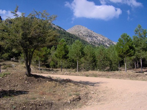 Campamento de verano 2006 en Huéscar del 30 de julio al 13 de agosto de 2006 - Foto 390