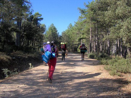 Campamento de verano 2006 en Huscar del 30 de julio al 13 de agosto de 2006 - Foto 434