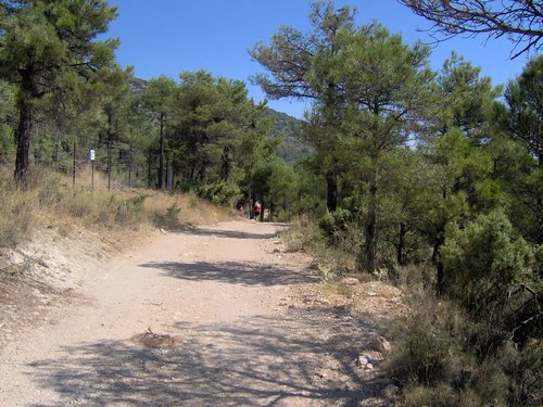 Campamento de verano 2006 en Huscar del 30 de julio al 13 de agosto de 2006 - Foto 443