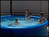 Campamento de verano 2006 en Huscar del 30 de julio al 13 de agosto de 2006