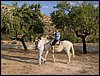 Campamento de verano 2006 en Huscar del 30 de julio al 13 de agosto de 2006