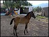 Campamento de verano 2006 en Huscar del 30 de julio al 13 de agosto de 2006