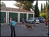 Campamento de verano 2006 en Huscar del 30 de julio al 13 de agosto de 2006