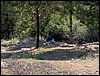 Campamento de verano 2006 en Huscar del 30 de julio al 13 de agosto de 2006