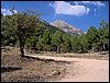 Campamento de verano 2006 en Huscar del 30 de julio al 13 de agosto de 2006