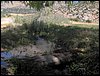 Campamento de verano 2006 en Huscar del 30 de julio al 13 de agosto de 2006