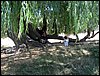 Campamento de verano 2006 en Huscar del 30 de julio al 13 de agosto de 2006