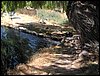 Campamento de verano 2006 en Huscar del 30 de julio al 13 de agosto de 2006