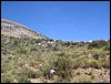 Campamento de verano 2006 en Huscar del 30 de julio al 13 de agosto de 2006