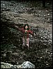 Campamento de Semana Santa 2007 (El Cauelo) del 31M al 2 de abril de 2007