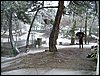Campamento de Semana Santa 2007 (El Cauelo) del 31M al 2 de abril de 2007