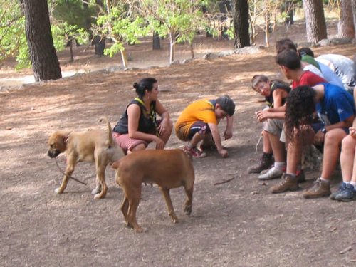 Campamento de verano "ROBLEDAL" del 1 al 15 de Agosto de 2007 - Foto 114