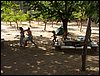 Campamento de verano "ROBLEDAL" del 1 al 15 de Agosto de 2007