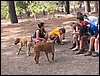 Campamento de verano "ROBLEDAL" del 1 al 15 de Agosto de 2007