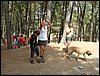 Campamento de verano "ROBLEDAL" del 1 al 15 de Agosto de 2007