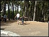Campamento de verano "ROBLEDAL" del 1 al 15 de Agosto de 2007