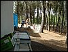 Campamento de verano "ROBLEDAL" del 1 al 15 de Agosto de 2007