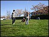 Parque del Agua. 11 de Febrero de 2008