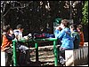 Parque del Agua. 11 de Febrero de 2008