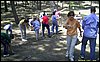 Acampada Aniversario. 30 y 31 de mayo de 2009.
