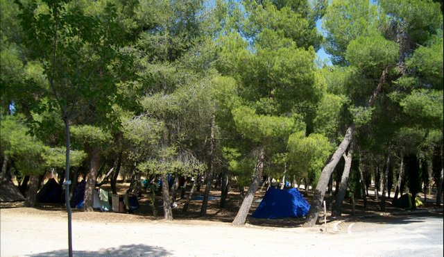 Campamento de Verano. 1 al 15 de agosto de 2009 - Foto 2