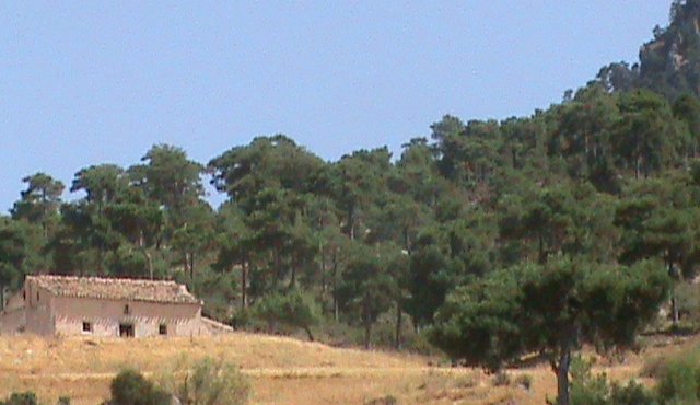 Campamento de Verano. 1 al 15 de agosto de 2009 - Foto 63