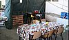 Campamento de Verano. 1 al 15 de agosto de 2009