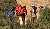 Campamento de Verano. 1 al 15 de agosto de 2009
