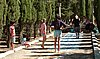 Campamento de Verano. 1 al 15 de agosto de 2009