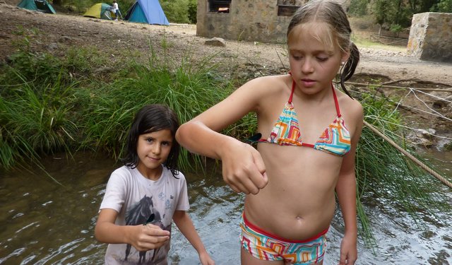 Dia de Padres - Foto 48