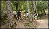 Campamento de Verano - 8 de agosto de 2010